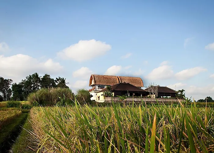 Parque de vacaciones Kubu Kedungu Tanah Lot